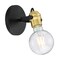 Nuvo Fixture, Indr Sconce, 1-Lght, Incandescent, 60W, 120V, A19, Medium Bse, Length: 2.75 60/6981 - alternate 1
